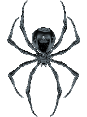 Araignee