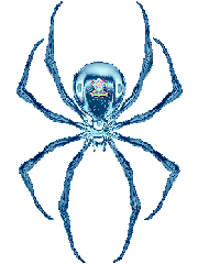 Araignee