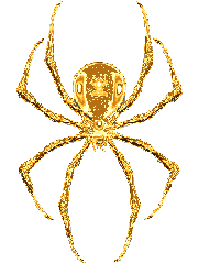 Araignee