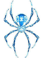 Araignee
