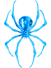 Araignee