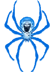 Araignee