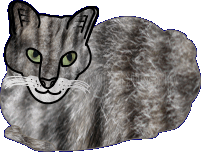 Chats
