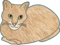 Chats