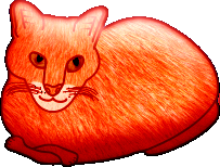 Chats
