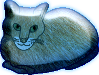 Chats