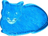 Chats