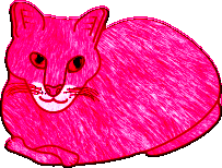 Chats