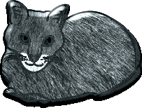 Chats