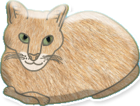 Chats