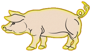 Cochons