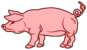 Cochons
