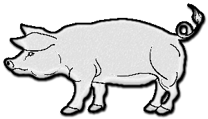 Cochons