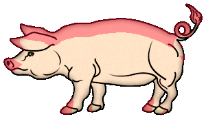 Cochons