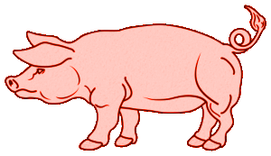 Cochons