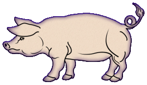 Cochons