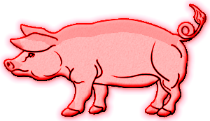 Cochons