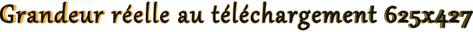 Grandeur réelle 512x294