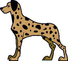 dalmatien