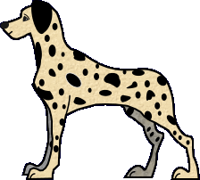 dalmatien