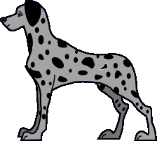 dalmatien