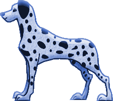 dalmatien