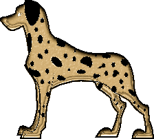 dalmatien
