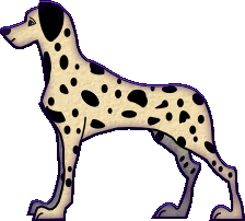 dalmatien