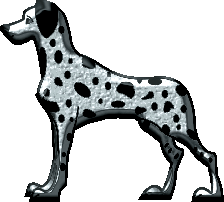 dalmatien