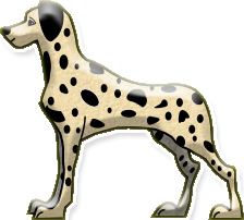 dalmatien