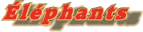 Élephants