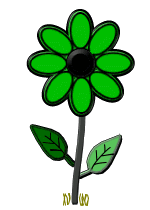Fleurs
