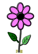 Fleurs