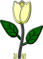 Fleurs