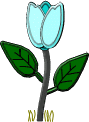 Fleurs