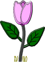Fleurs