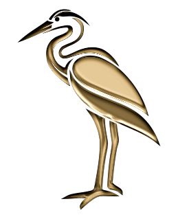 Hérons