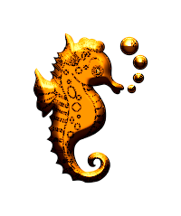Hippocampes