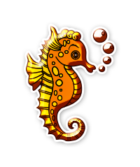 Hippocampes