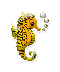 Hippocampes