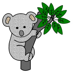 Koalas