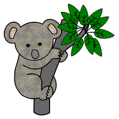 Koalas