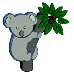 Koalas