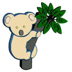 Koalas