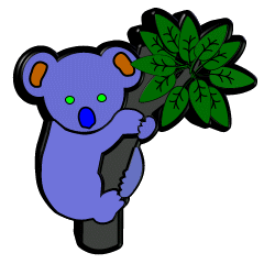 Koalas