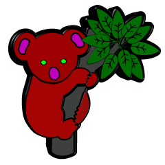 Koalas