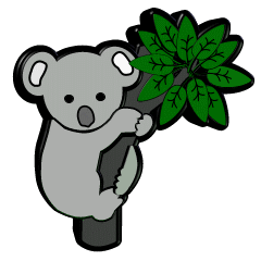 Koalas