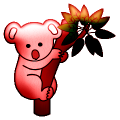 Koalas