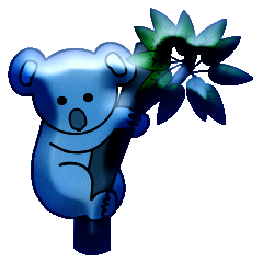 Koalas