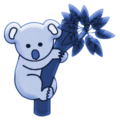 Koalas